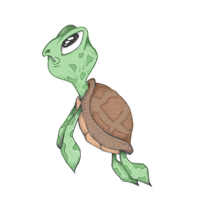 Turtle drawing pen sketch