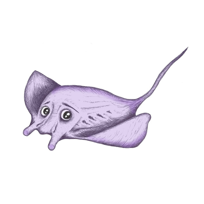 Stingray cartoon drawing