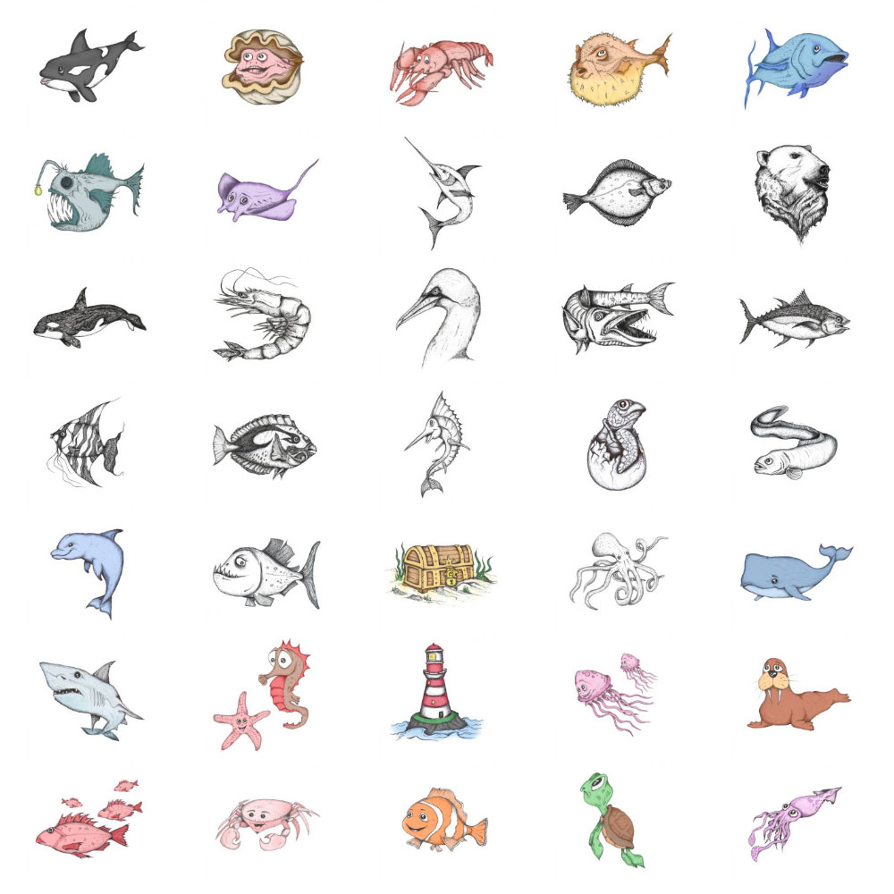 Gallery | Sea life illustrations, drawings & pen sketches | Sea Life Art