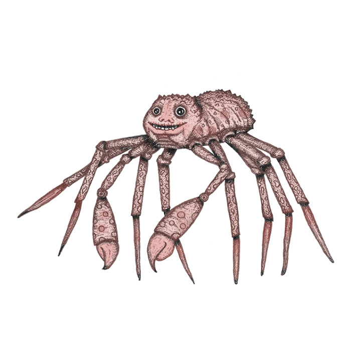Giant spider crab drawing