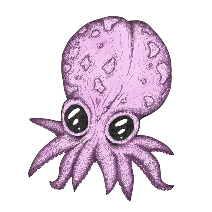 Pink baby octopus drawing