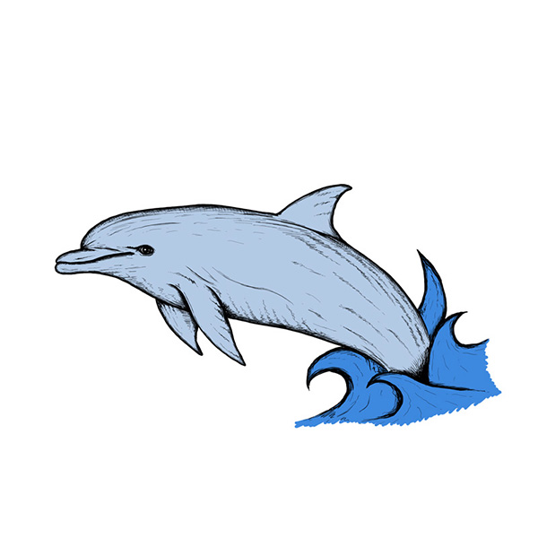 Jumping Dolphin Drawing